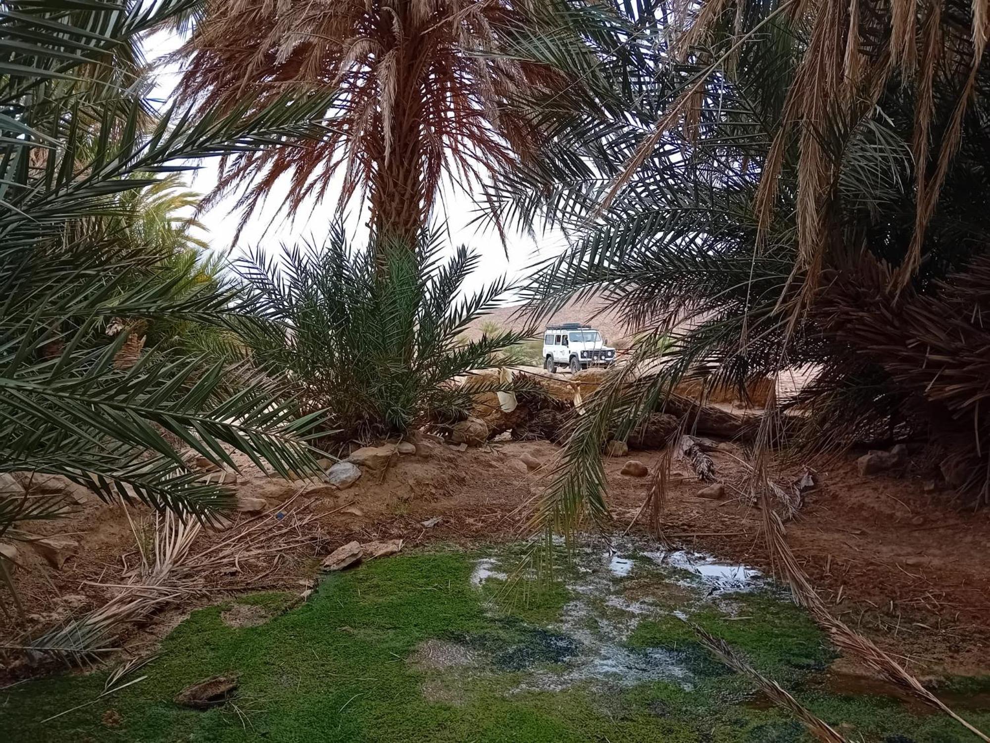 Bivouac Cote-Iriki Hotel Foum Zguid Exterior foto